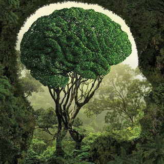 ИнфоФакт| Факты | История | Наука |