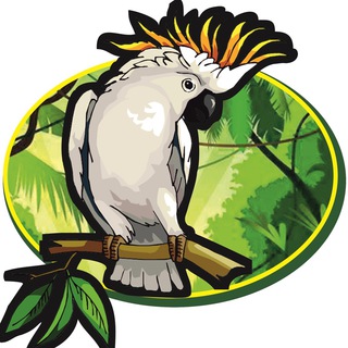 Зоомагазин Какаду