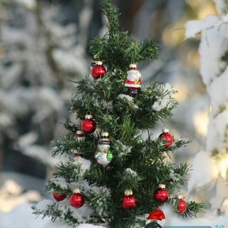 ꧁༺ ⓚⓔⓛⓘⓝⓖ ⓣⓐⓝⓘⓢⓗⓐⓜⓘⓩ༻