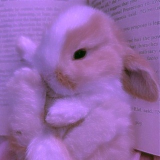 Лиза🤟💗💖