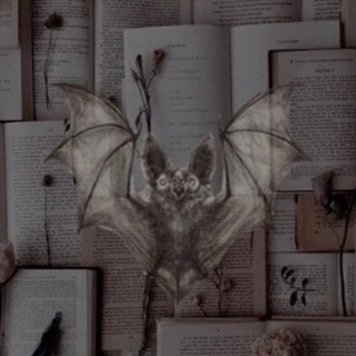 Дама с книгами📚