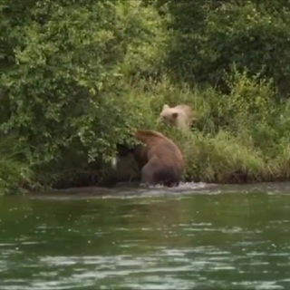 Туры на Камчатку