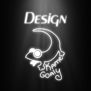 @kamegoaly design 🦎