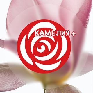 КАМЕЛИЯ+ | Цветы Курск | Доставка цветов в Курске