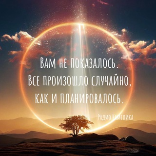 РАДИО КАМЕЛИКА в Доброграде