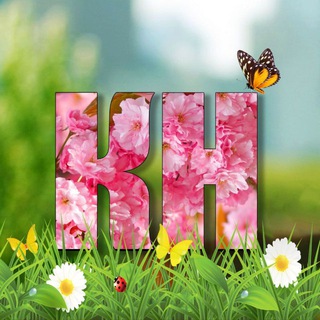 Каменские новости