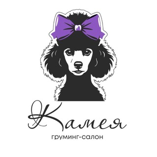 Камея-груминг салон💜