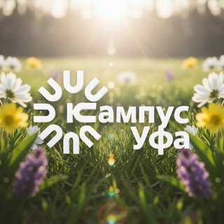 Уфимский межвузовский кампус