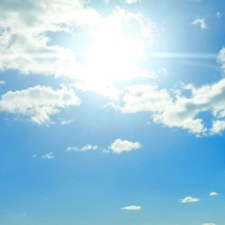 СветоВодитель