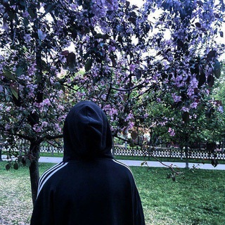 невесомость