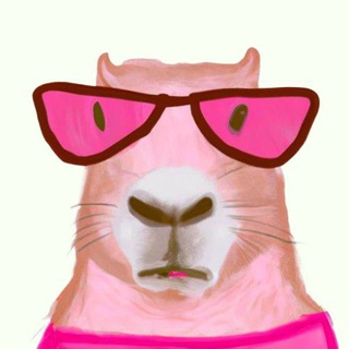 What's going on here?