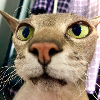 Карасеевка