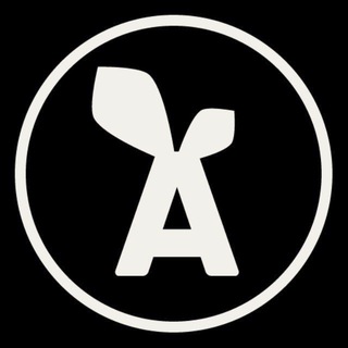 Карельский разработчик