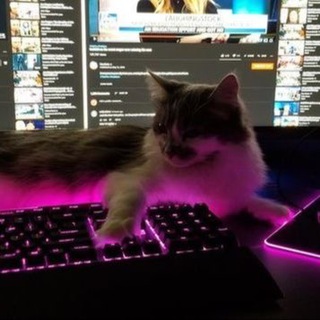 𝙆𝘼𝙍𝙀𝙑 𝙎𝙃𝙊𝙋 🦋