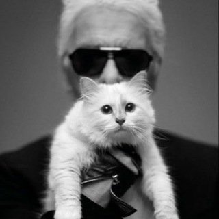 Карл был здесь