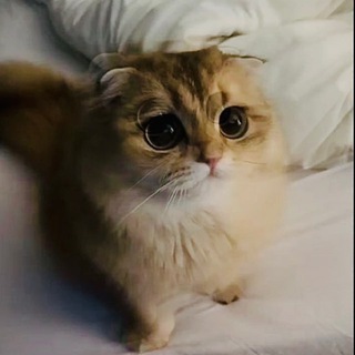 {Жизнь~Karasika}💭❤️