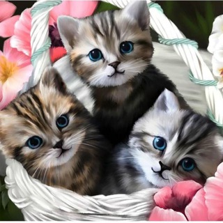 Музыкальные поздравления и красивые открытки🥰