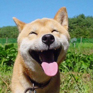 картинкотред