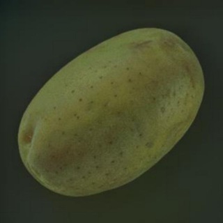 Картошкины Думы