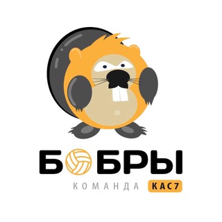 МКАГ | ССК «БОБРЫ»