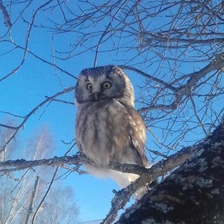 Природа. Касаясь красоты. 🎄