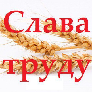 "Слава труду" Новости Кашарского района