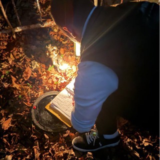 Избушка Касьянова