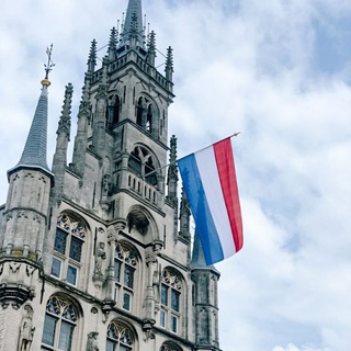 Партнёрские MVV 🇳🇱 и ШЕНГЕН 🇪🇺 | Канал