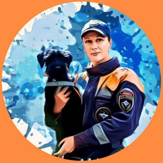 Катерина и Вольт - записки кинолога 🐶