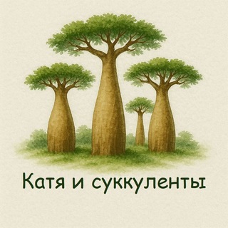Катя и суккуленты | Katya_succulents