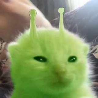 Канал Кати Шэ 🌱