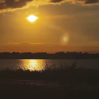 Тележка katyperepelova 🛒