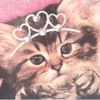 ๋࣭♱·*♡ катцен