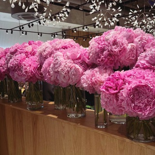 Весь WB Kavkaz 🩷