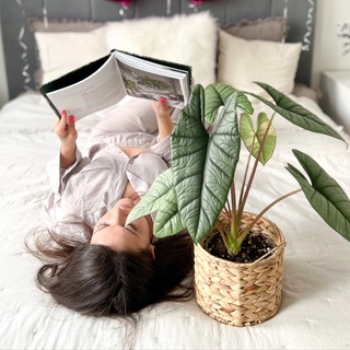 🪴 kazakova_plants 🪴