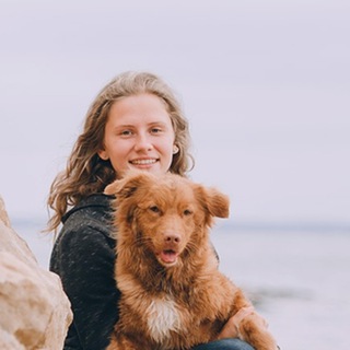 Kazandogs | Кинолог | Дрессировка собак, Казань | Ноузворк