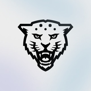 Киберспорт | Кронверкские барсы | ИТМО