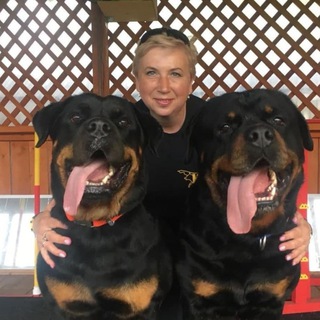 КДЦ "Тори" - дрессировка собак в Коломне