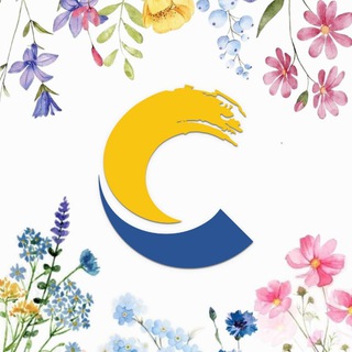 Детский центр «Созвездие» - лучший лагерь страны 2026