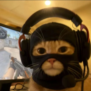 Королевство Баунти 🤤