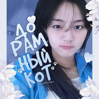 дорамный кот