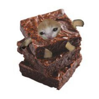 Конкурсы грязный носок