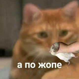 кекальная🐀