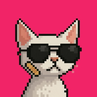 KELX CRYPTO COOK CHAIN ⛓️