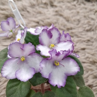 Интересное. Разное.🌺