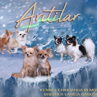 Питомник ARCTILAR