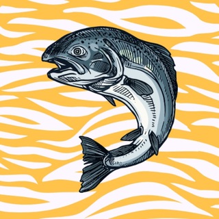 Кета | Куда сходить в Хабаровске?