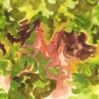 куссимакросс