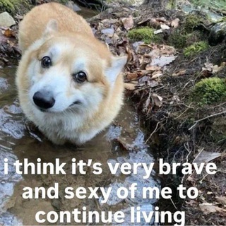 дурочка с переулочка