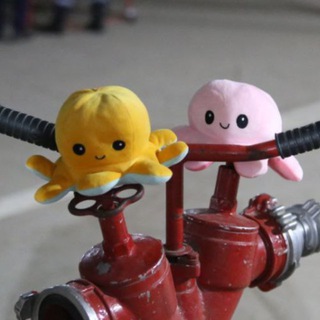 ЗАКУЛИСЬЕ KГИМС